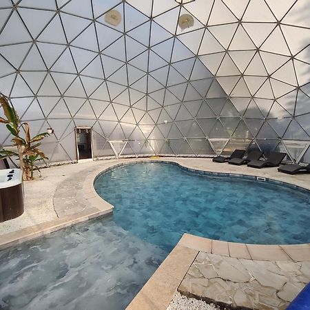 Mas Du Versadou, Dans Un Espace Naturel Protege, Piscine Couverte Chauffee Toute L'Annee, Spa Et Salle De Jeux แซ็ง จิลส์ ภายนอก รูปภาพ